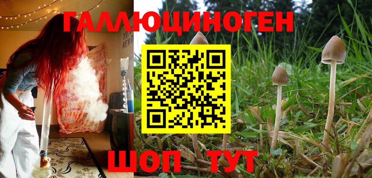 Псилоцибиновые грибы Magic Shrooms Курчатов