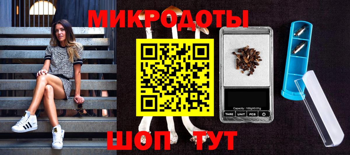 Курчатов  Псилоцибиновые грибы MAGIC MUSHROOMS  Галлюциногенные грибы мицелий  где найти   Вход с VPN 